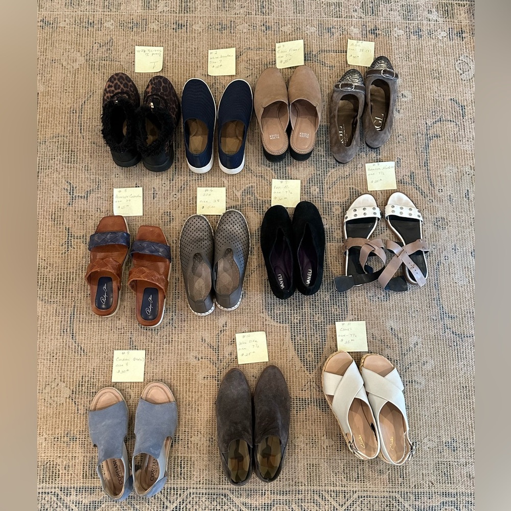 Shoe purge